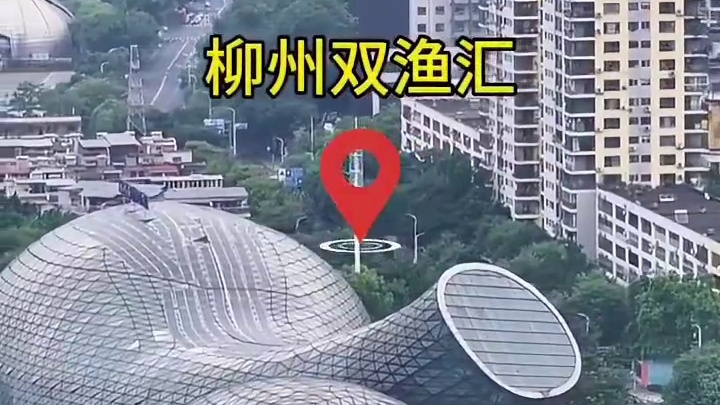 这是广西花3个亿打造的最奇葩建筑（柳州双渔汇)，外观设计非常独特，有人说像无头无尾的鱼，也有人说像葫