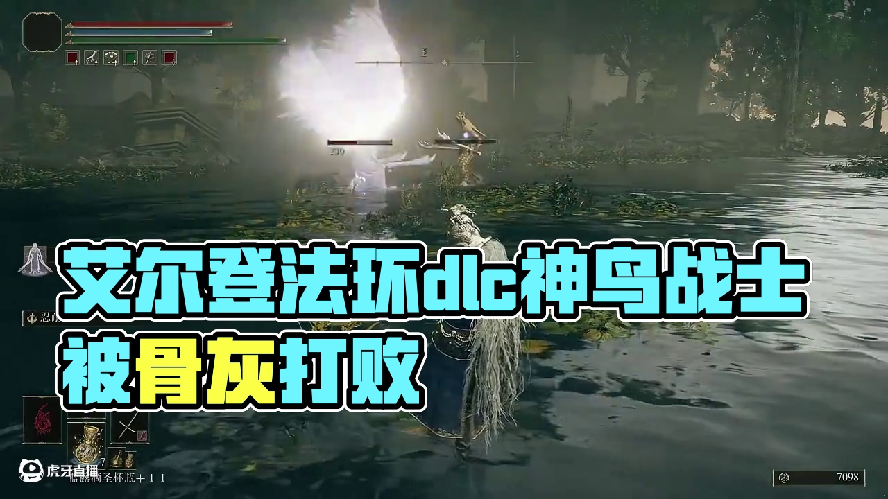 艾尔登法环dlc神鸟战士竟然打不过自己的骨灰 #电子斗蛐蛐 #steam游戏 #黑暗之魂 #艾尔登法
