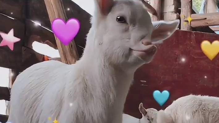 撅嘴的样子像极了生气的闺蜜