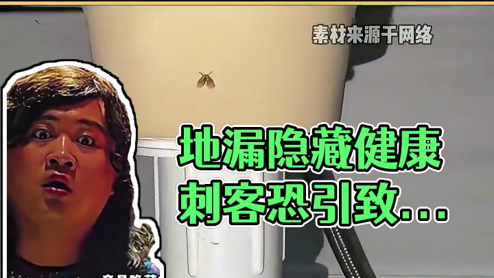比蟑螂更危险！你家地漏可能正在孵化夺命小黑虫 #万万没想到 #科普 #健康知识 #社会百态 #蛾蚋