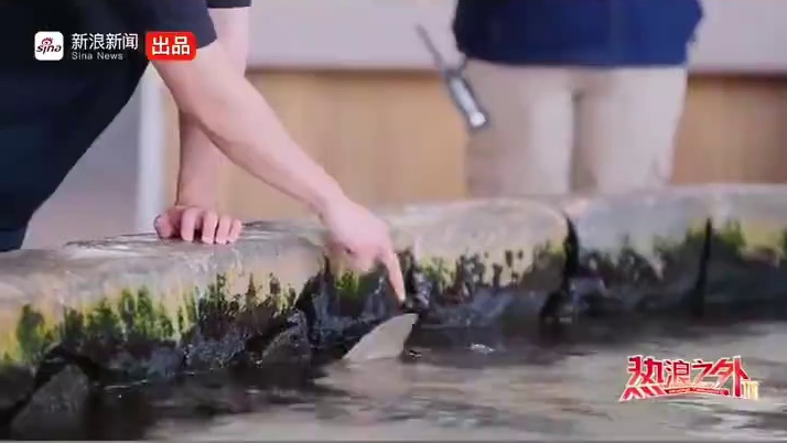 周冠宇综艺首秀被鱼吓惨了 我不允许还有人没看过这段视频，原来小周同学也有软肋啊，在赛道上叱咤风云的周