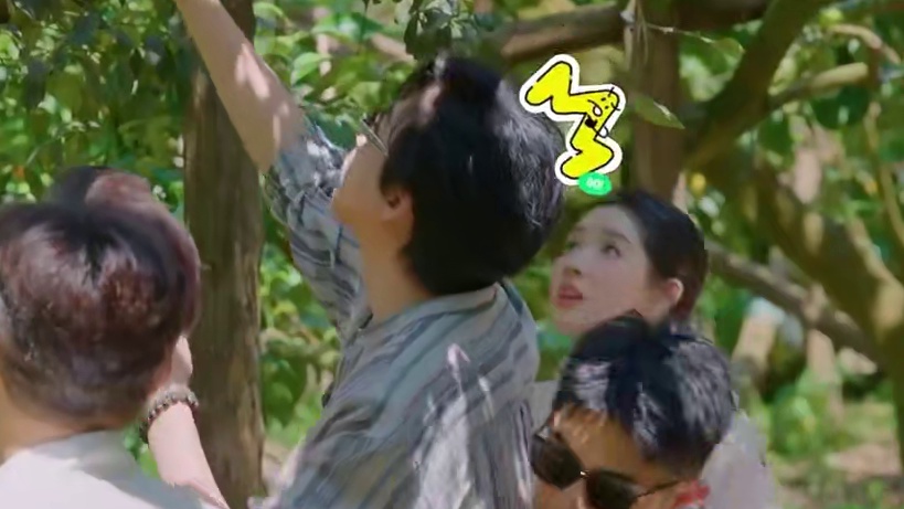 刘宇宁看着瘦但因为是大高个，所以抱起来也不轻#地球超新鲜  #陈赫  #刘宇宁