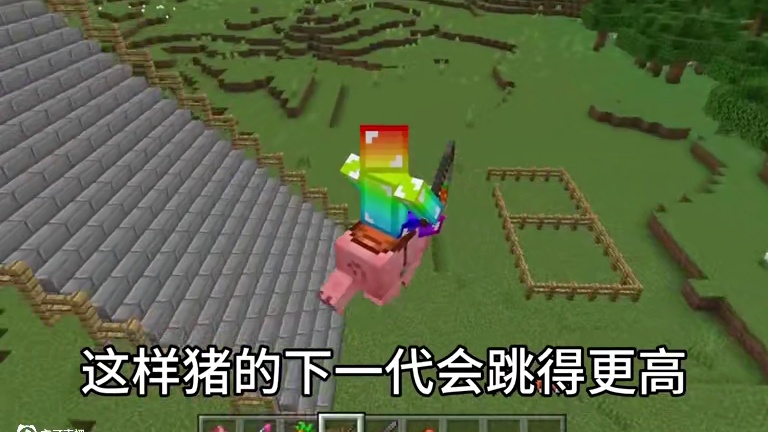 我的世界：这才是猪的正确打开方式！#我的世界#mc不灭#mc