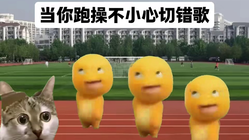 当你跑操不小心切错歌 #猫meme #猫meme小剧场