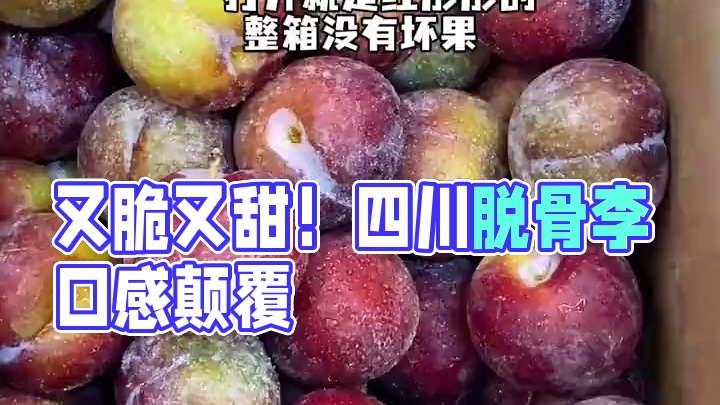 又脆又甜的脱骨李，好吃！！！#脱骨李 #脆甜多汁