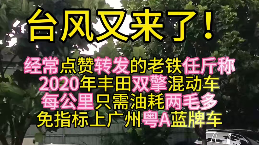 2020年丰田双擎混动车，每公里油耗两毛多