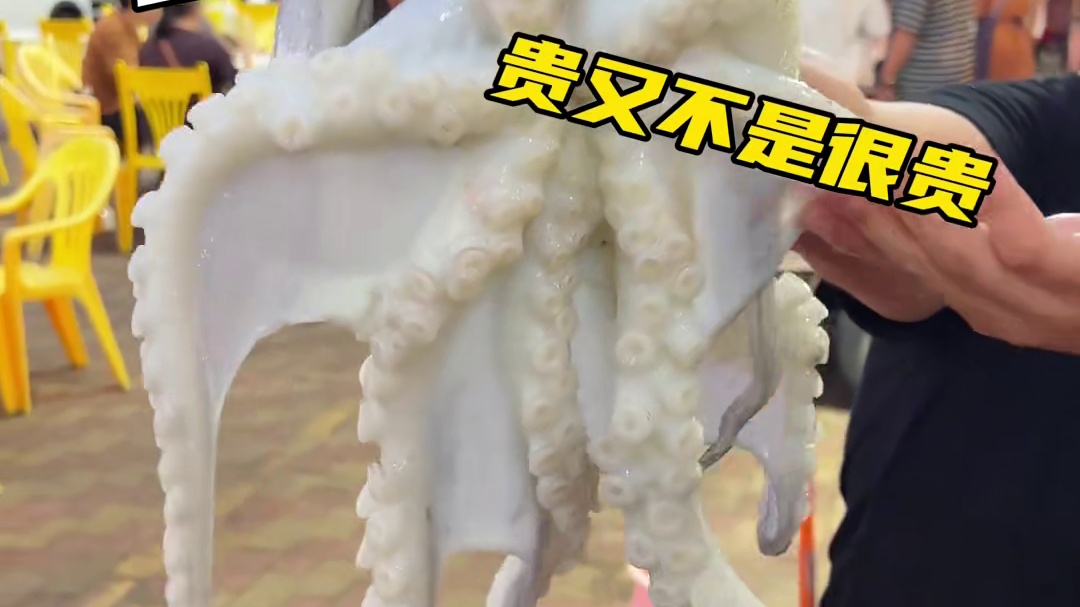 挑战200块在珠海白藤头海鲜市场买海鲜 #白藤头水产批发市场 #白藤头水产海鲜市场 #白藤头市场 #