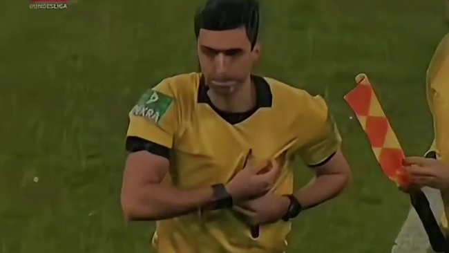 捡的不是硬币，还有裁判的尊严