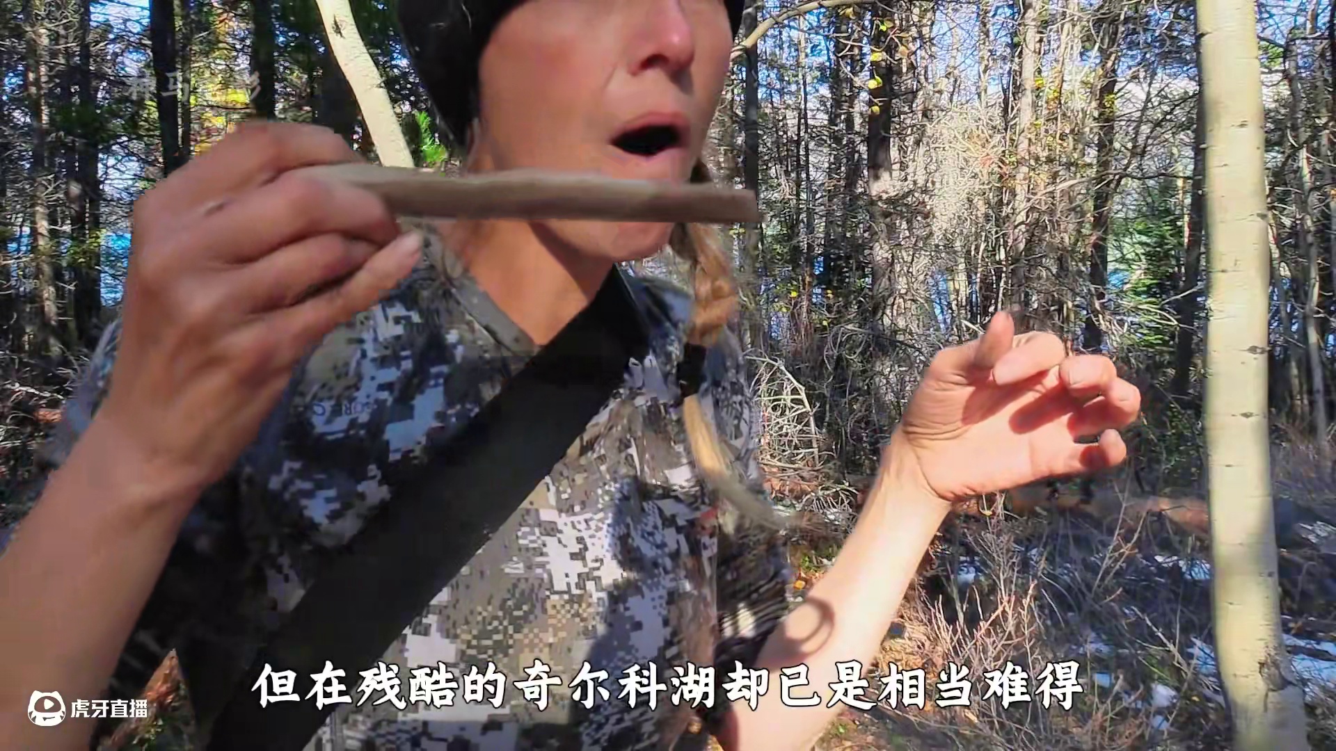 克雷遭遇黑熊近距离袭击，特蕾莎白嫖虹鳟鱼，科尔特痛失捕鱼笼 #荒野独居 #荒野求生 #野外生存