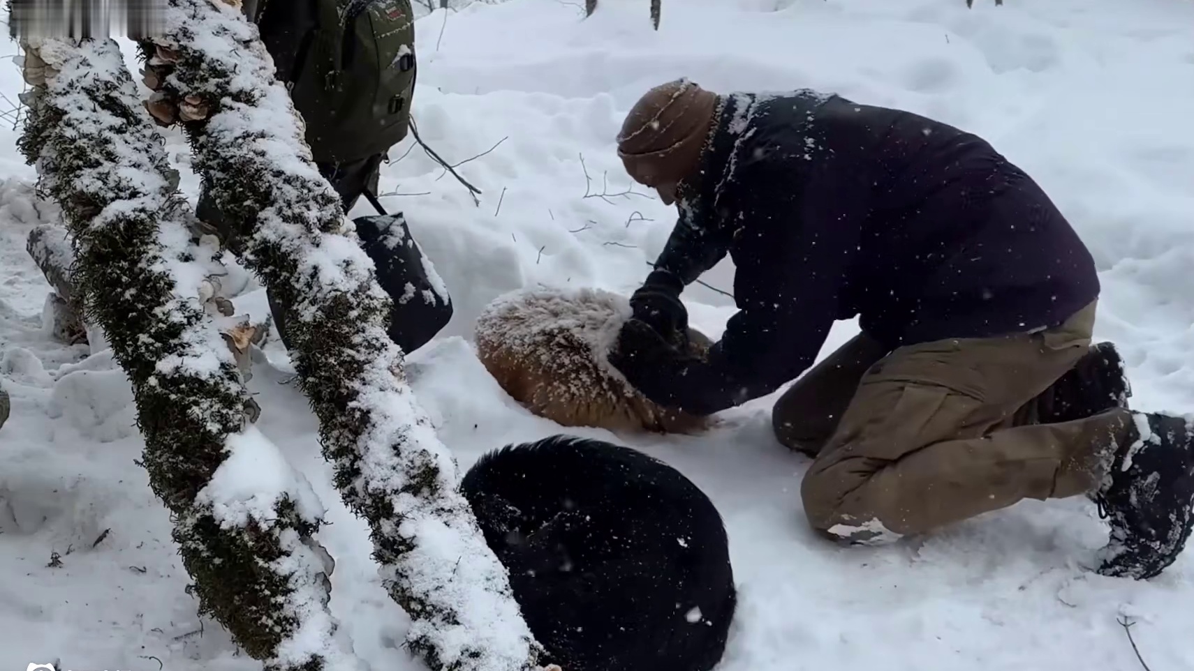 男人在零下30度的寒冬，徒手打造出舒适居住的温馨庇护所(2)