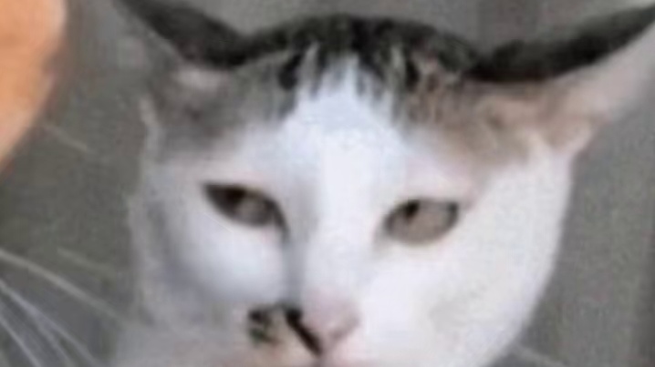 蓝战非竟敢推传奇？烈焰觉醒是得多好玩！#蓝战非 #蓝战非玩烈焰觉醒 #烈焰觉醒 #传奇 #手游