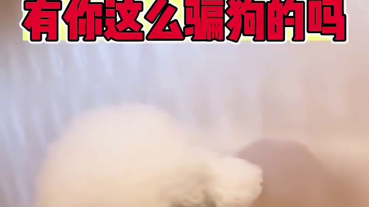 还不赶紧给我摘下来