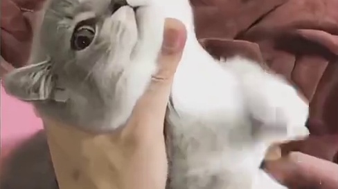 只见家中老母，不见狱中老夫