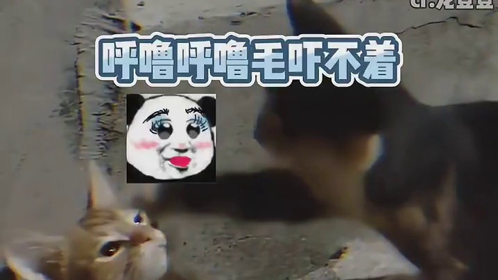 当情绪稳定遇到有礼貌