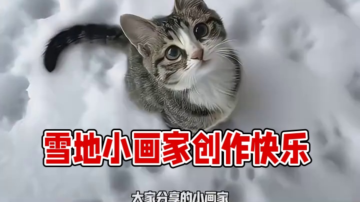 雪地来了一群小画家