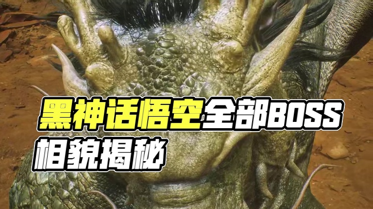 黑神话悟空 全部boss的相貌 你有没有全部看清？第7期 #黑神话的故事没有那么简单 #关于黑神话我