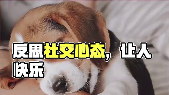 反思一下，这是你吗？