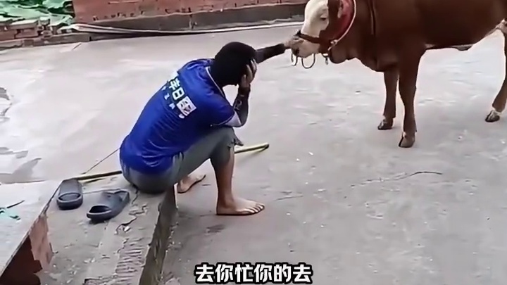 不够他得瑟的了