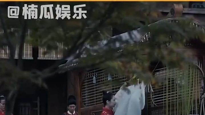 这把追剧党春节放假真的狂喜！！！