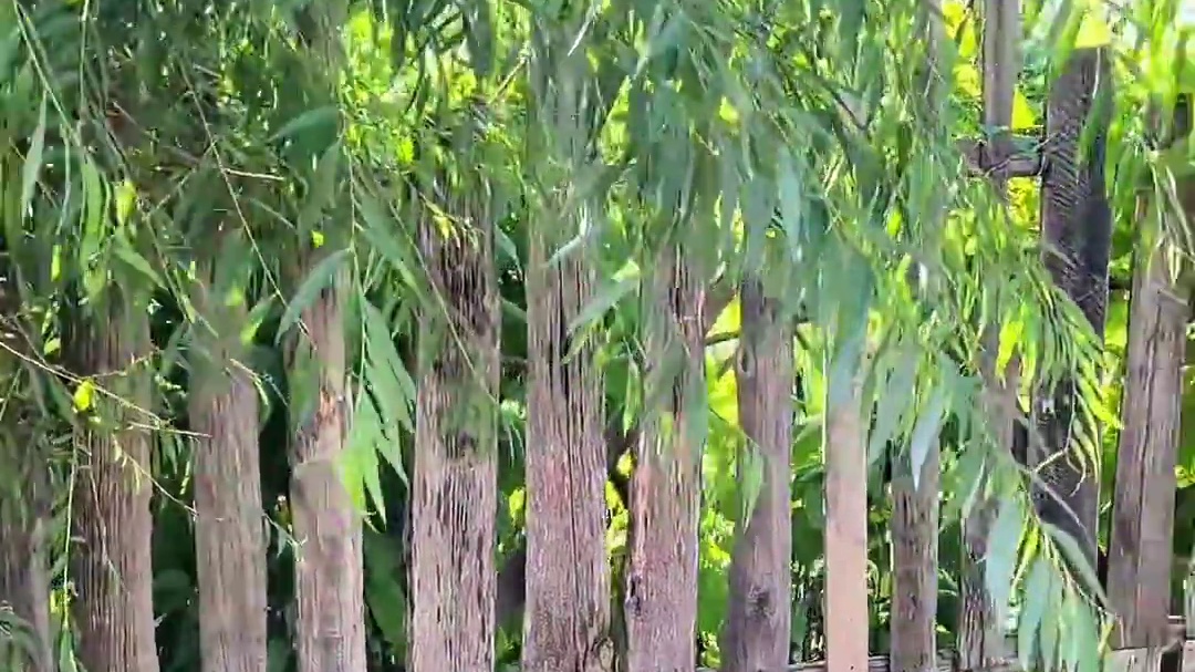 在村里这么吃yoù串也太幸福了吧#美食vlog #vlog日常