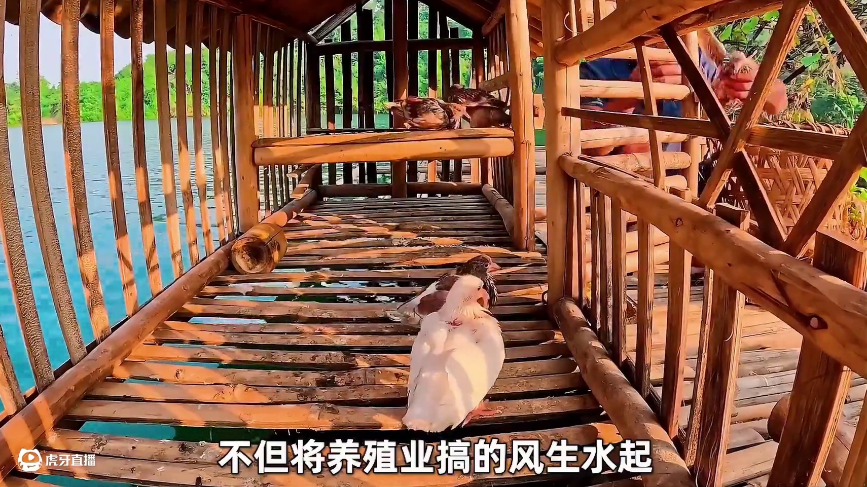 男人独自挑战木筏求生365天 #木筏求生#水上生存#野外求生