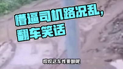 懵逼的司机一脸懵