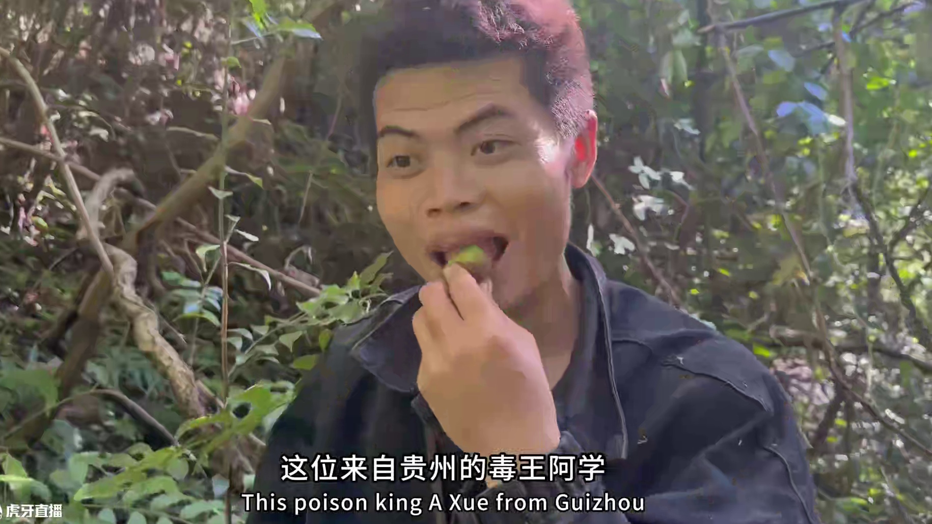 中国张家界七星山杯百人荒野求生总决赛第十六天。#七星山杯荒野求生挑战赛#户外#荒野求生