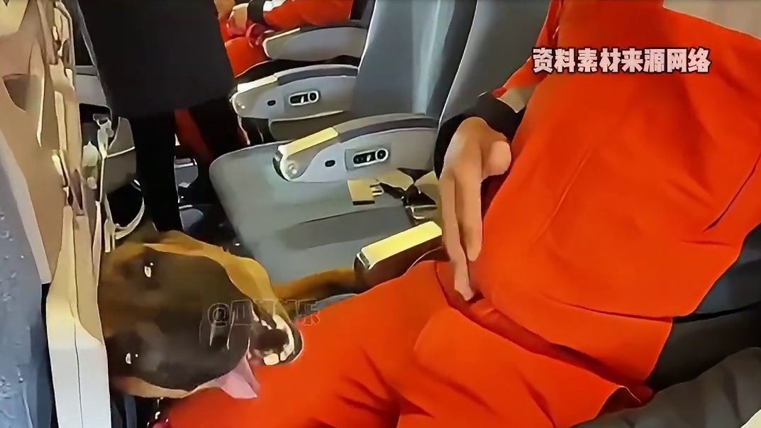 老缅网友才想起来向咱求援