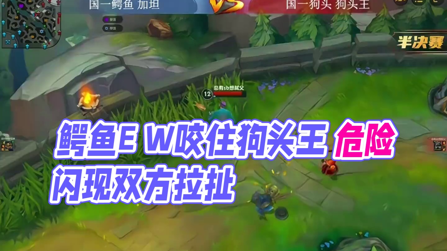 鳄鱼真不好打狗头 