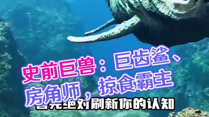 那些比你想象中还要大的史前巨兽