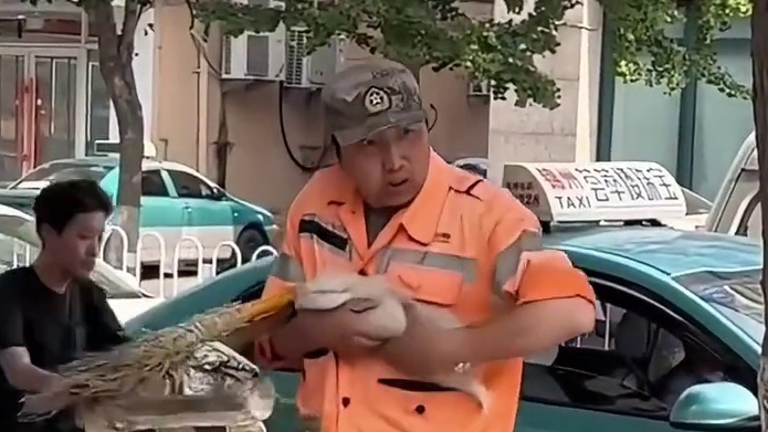 下辈子，咱不做流浪猫了