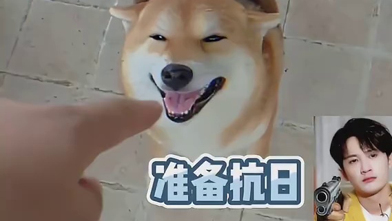 在一只狗脸上看到一脸谄媚