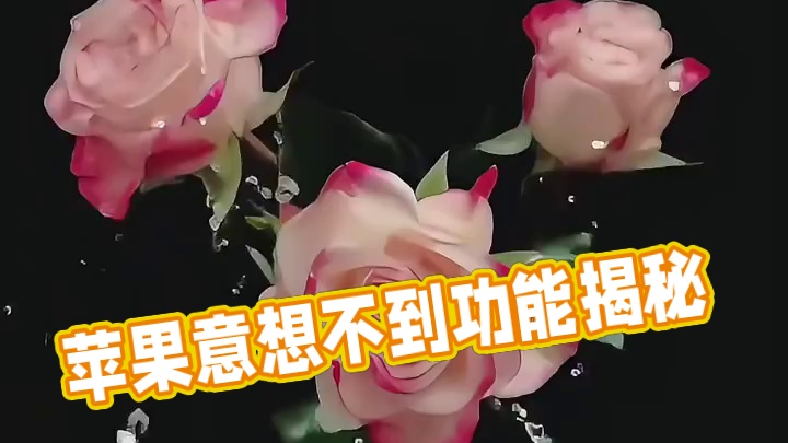 我们仍不清楚苹果到底还有多少意想不到的功能等待着我们开