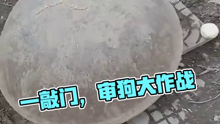 一敲门，像地震了一样