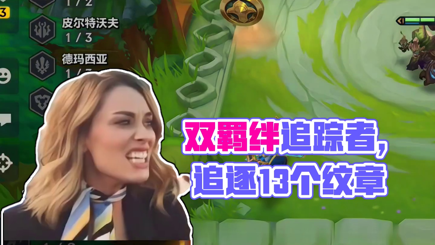 双羁绊追踪者，13个纹章，却追到一个它！