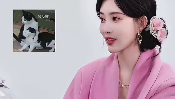 巧克力最讨厌孟子义经纪人