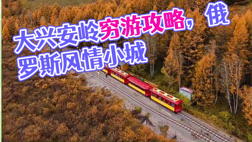 公共交通怎么玩大兴安岭？ #旅行 #穷游 #大兴安岭 #大兴安岭秋天 #秋天