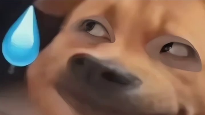 鲨鱼：今天奢侈一把，西餐整起来！