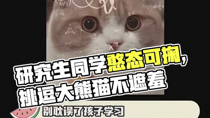 这是我的几位研究生同学~