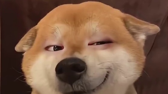 脑子可能是黄的，但心一定是红的