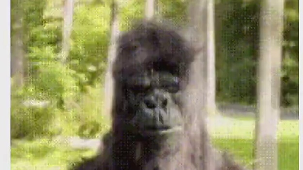 港台媒体：是肖战，那夸就对了！！