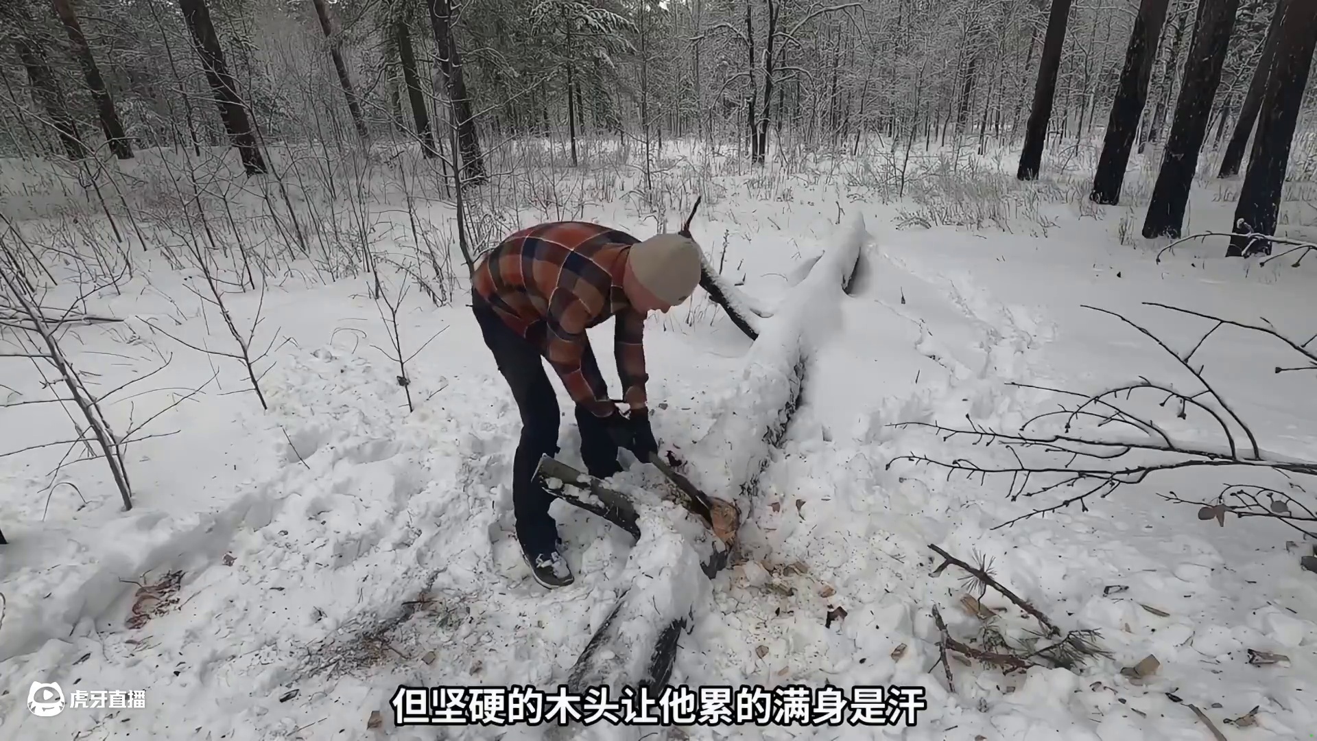 在白雪茫茫的丛林，坐着黑夜里吃着亲手做的食物，是怎样的感觉