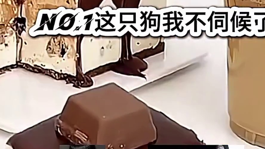 1这只狗我不伺候了。