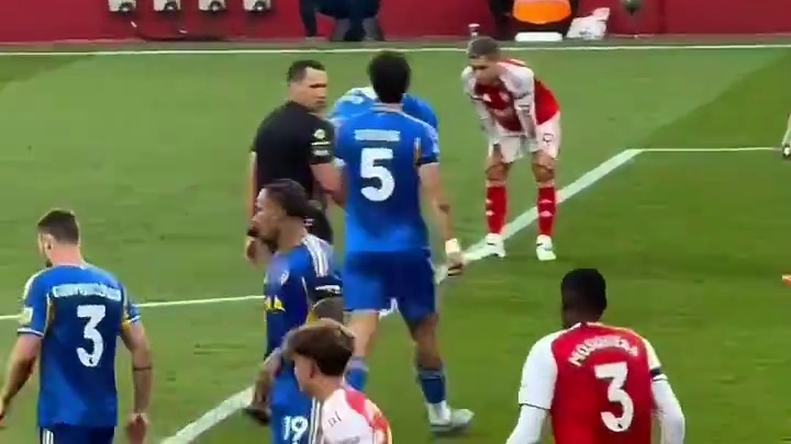 为了你，我转身变成狼王模样