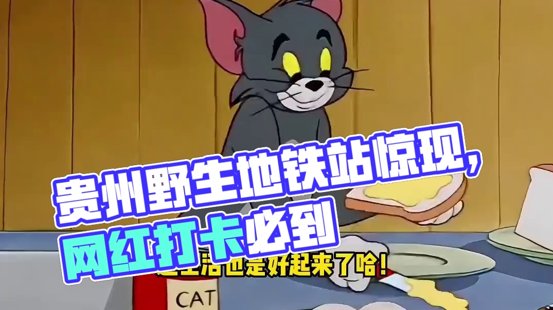 贵州就是好啊，都有野生地铁站了