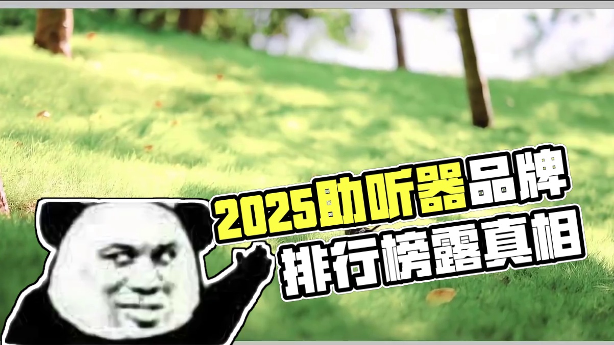 老年助听器品牌排行榜前十名是哪些品牌？2025助听器十大名牌排名