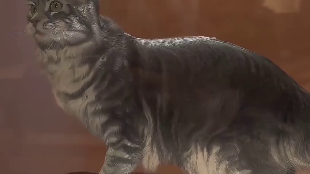 无论何时都会被苏绣震撼到