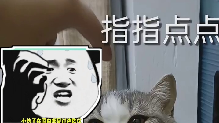 男子：妈妈呀，他们杀人啊啊