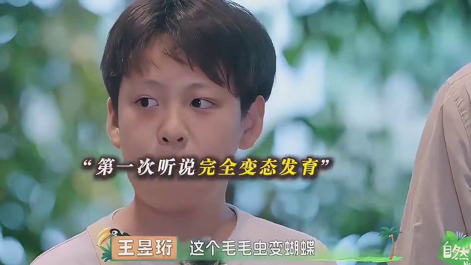 要是问我，不是奥特曼就是孙悟空