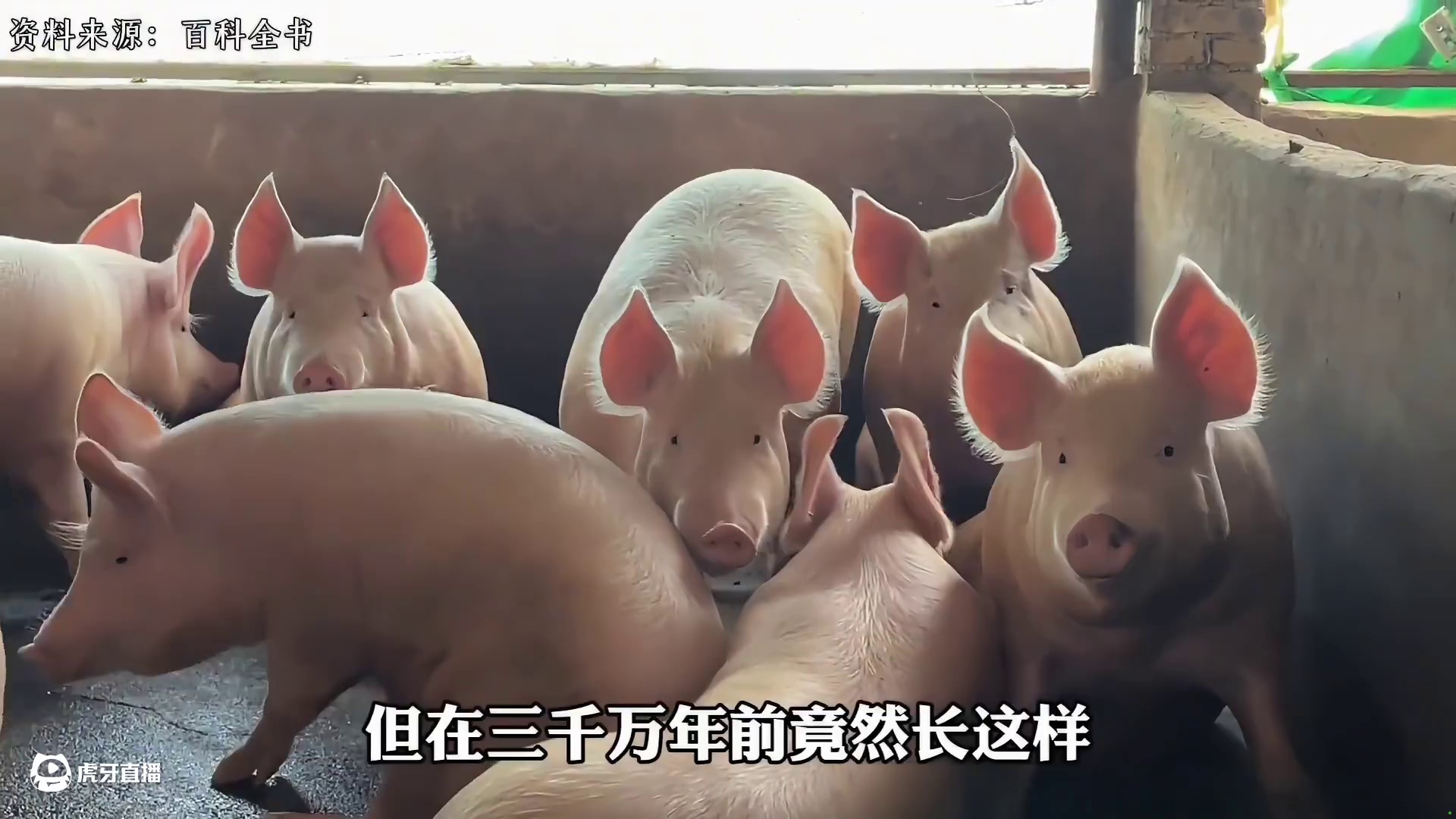 这些动物的祖先长相简直恐怖如斯